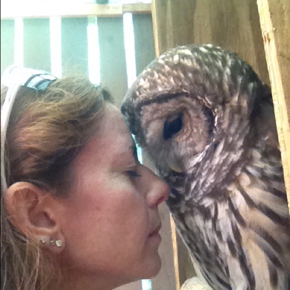 Meet your Posher, Ellen - Picture 1 of 1